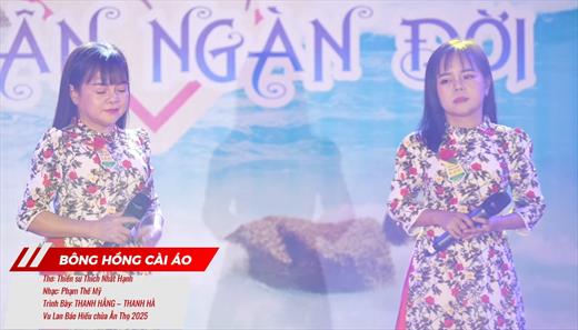 Nhạc phẩm BÔNG HỒNG CÀI ÁO
