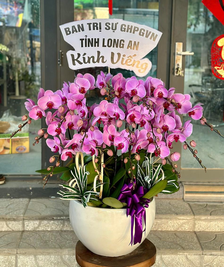 Ban Trị sự GHPGVN tỉnh Long An và Trường Trung cấp Phật học Long An viếng tang Cố Ni trưởng Thích nữ Diệu Nghĩa Ban Trị sự GHPGVN tỉnh Long An và Trường Trung cấp Phật học Long An viếng tang Cố Ni trưởng Thích nữ Diệu Nghĩa