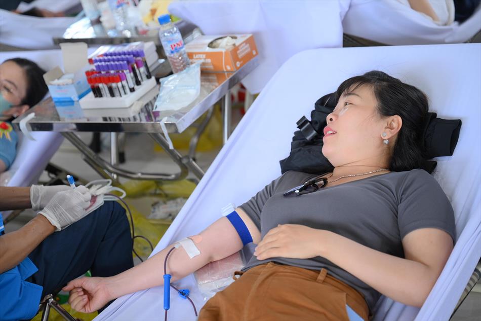 6 HIẾN MÁU TƯƠI ĐẸP 6 HIẾN MÁU TƯƠI ĐẸP
