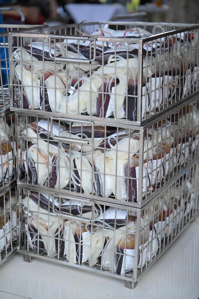 6 HIẾN MÁU TƯƠI ĐẸP 6 HIẾN MÁU TƯƠI ĐẸP