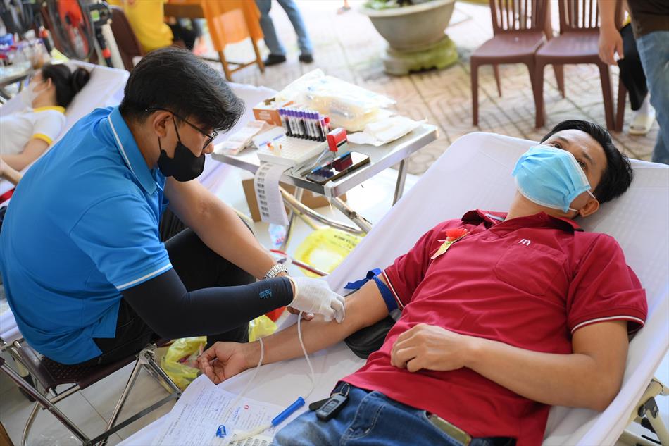 6 HIẾN MÁU TƯƠI ĐẸP 6 HIẾN MÁU TƯƠI ĐẸP