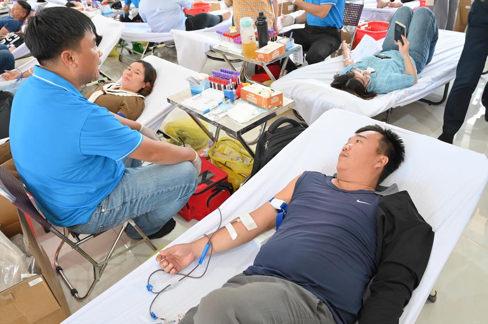 6 HIẾN MÁU TƯƠI ĐẸP 6 HIẾN MÁU TƯƠI ĐẸP