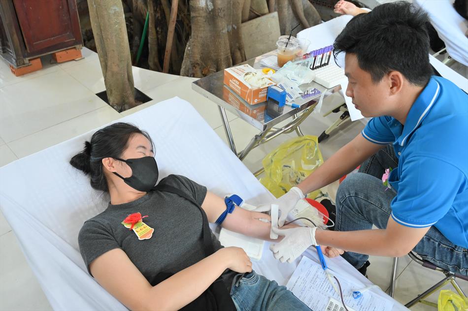 6 HIẾN MÁU TƯƠI ĐẸP 6 HIẾN MÁU TƯƠI ĐẸP