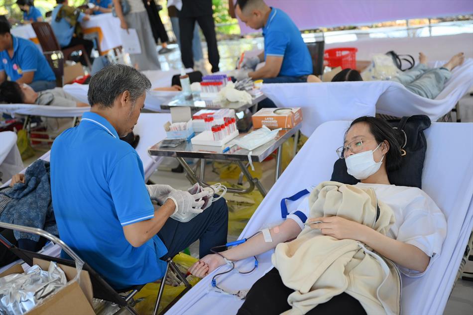 6 HIẾN MÁU TƯƠI ĐẸP 6 HIẾN MÁU TƯƠI ĐẸP