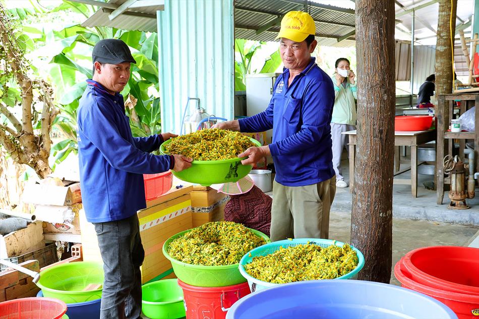 CẬP NHẬT SÁNG 14 CẬP NHẬT SÁNG 14