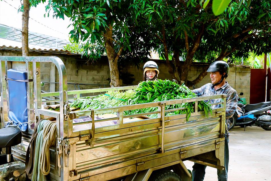 CẬP NHẬT SÁNG 14 CẬP NHẬT SÁNG 14
