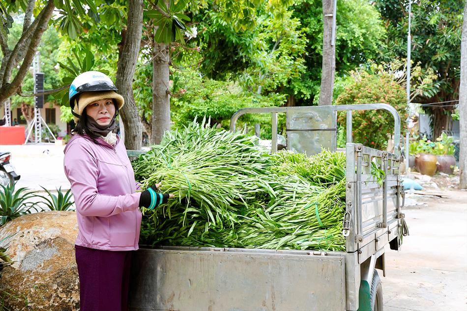 CẬP NHẬT SÁNG 14 CẬP NHẬT SÁNG 14