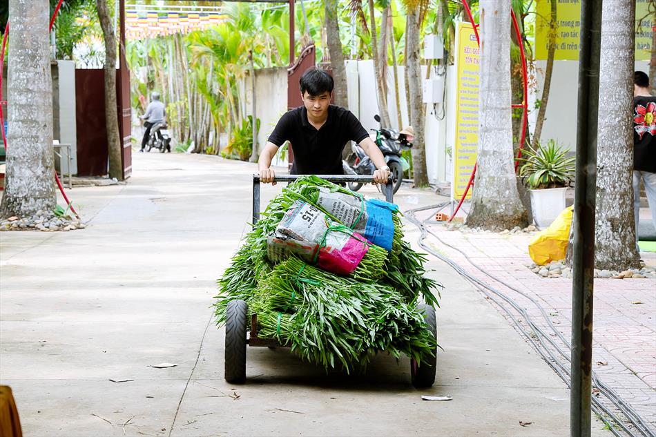 CẬP NHẬT SÁNG 14 CẬP NHẬT SÁNG 14