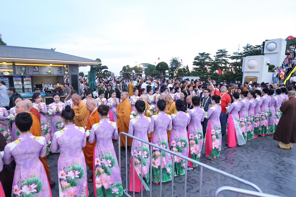 3 HOA ĐĂNG TRÊN ĐỈNH NÚI 3 HOA ĐĂNG TRÊN ĐỈNH NÚI