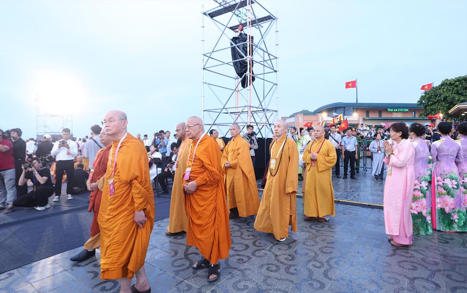 3 HOA ĐĂNG TRÊN ĐỈNH NÚI 3 HOA ĐĂNG TRÊN ĐỈNH NÚI