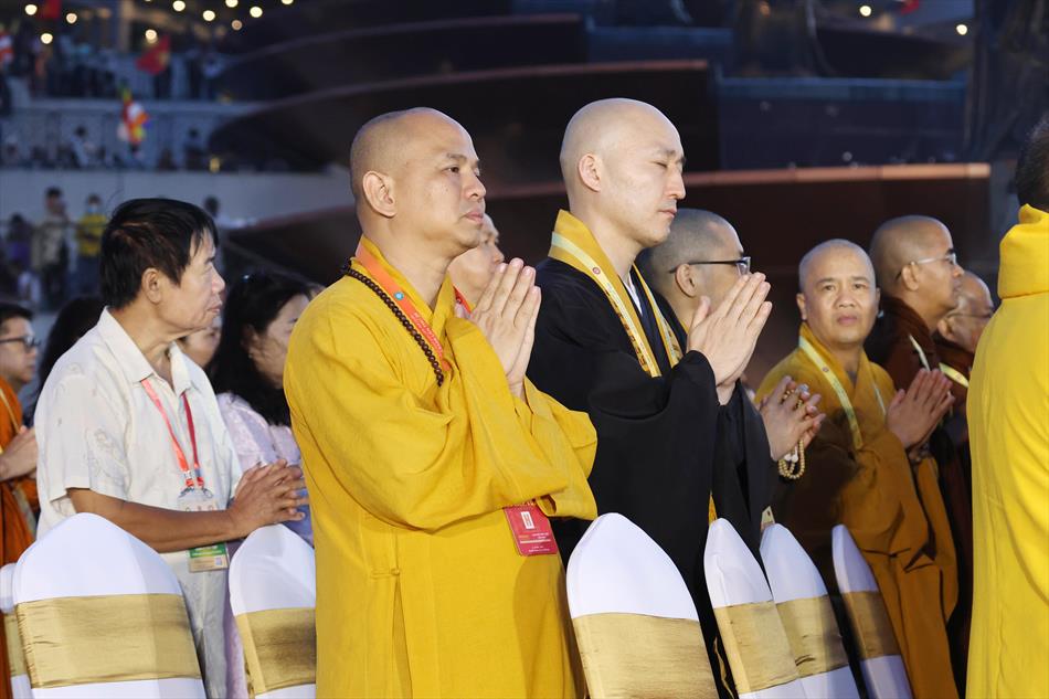 3 HOA ĐĂNG TRÊN ĐỈNH NÚI 3 HOA ĐĂNG TRÊN ĐỈNH NÚI