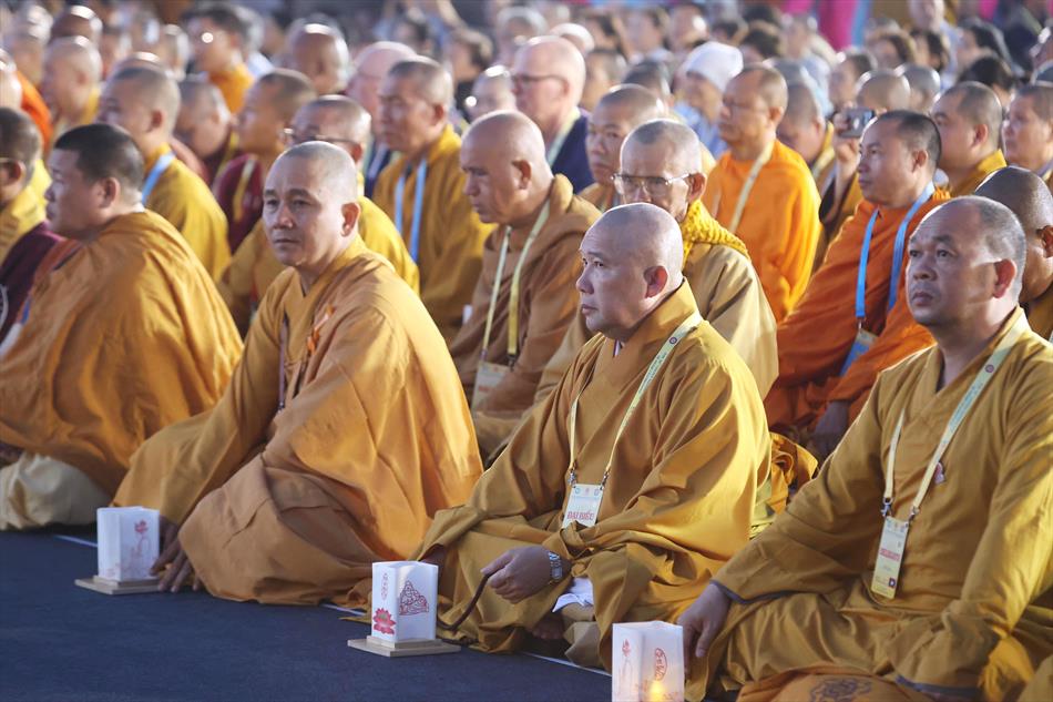 3 HOA ĐĂNG TRÊN ĐỈNH NÚI 3 HOA ĐĂNG TRÊN ĐỈNH NÚI