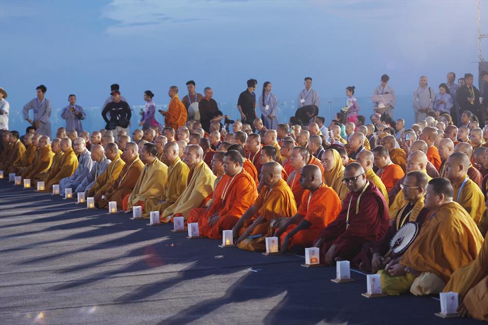 3 HOA ĐĂNG TRÊN ĐỈNH NÚI 3 HOA ĐĂNG TRÊN ĐỈNH NÚI