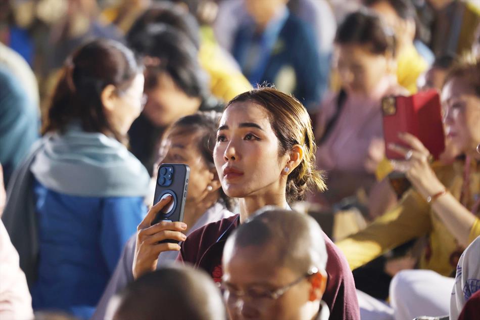 3 HOA ĐĂNG TRÊN ĐỈNH NÚI 3 HOA ĐĂNG TRÊN ĐỈNH NÚI