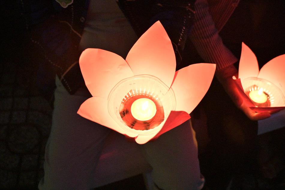 1 HOA ĐĂNG - CHÁNH ĐIỆN 1 HOA ĐĂNG - CHÁNH ĐIỆN