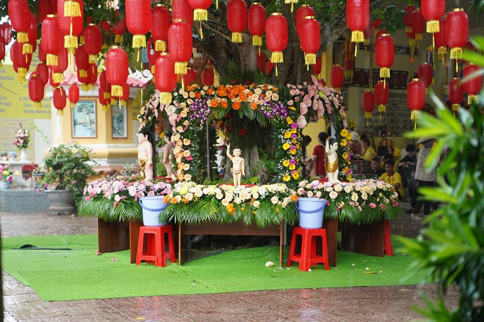 Hình ảnh ngày Phật đản 2025 tại chùa Ân Thọ: buổi sáng và chiều