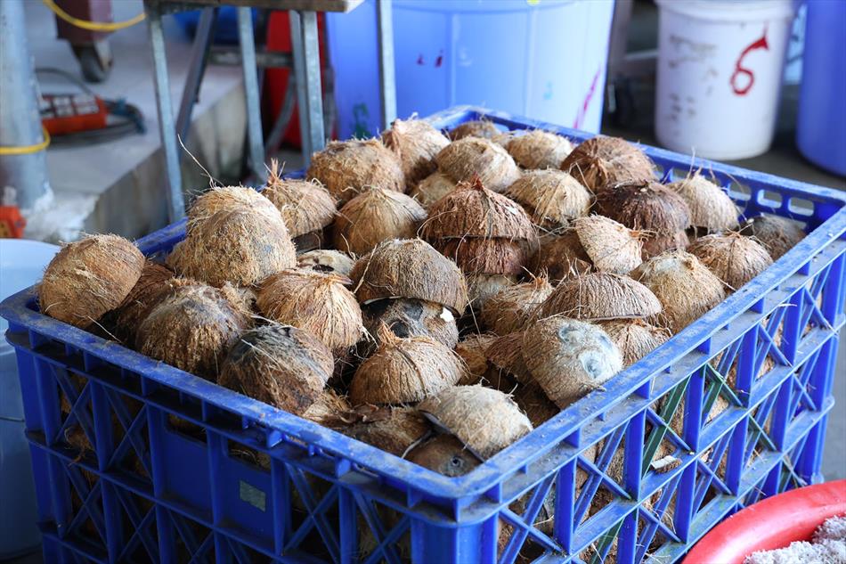 Hình ảnh ngày Phật đản 2025 tại chùa Ân Thọ: buổi sáng và chiều