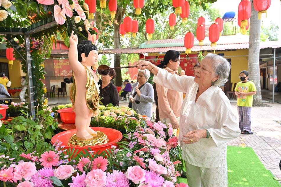 Hình ảnh ngày Phật đản 2025 tại chùa Ân Thọ: buổi sáng và chiều