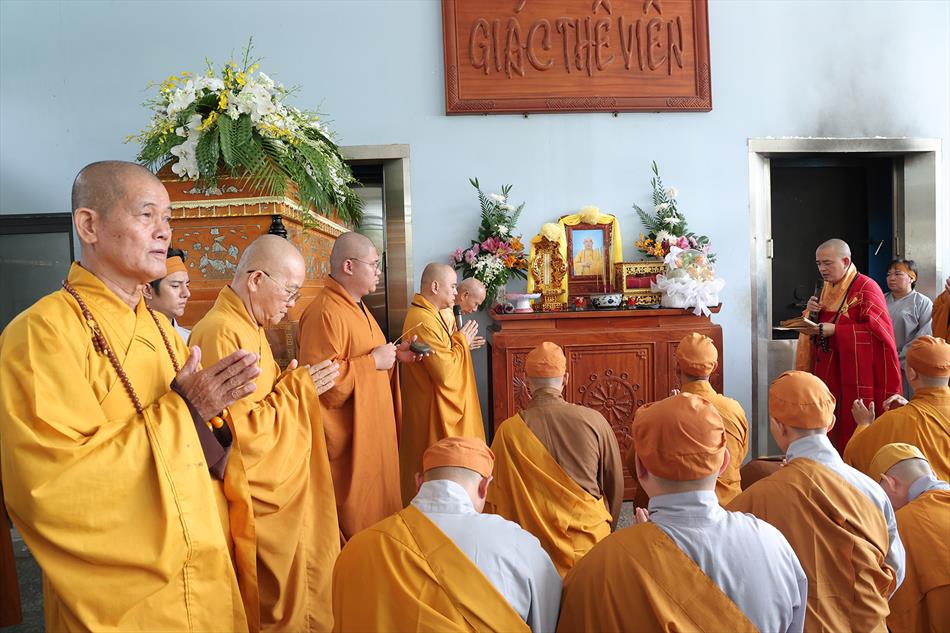 2 DI QUAN VÀ TRÀ TỲ 2 DI QUAN VÀ TRÀ TỲ