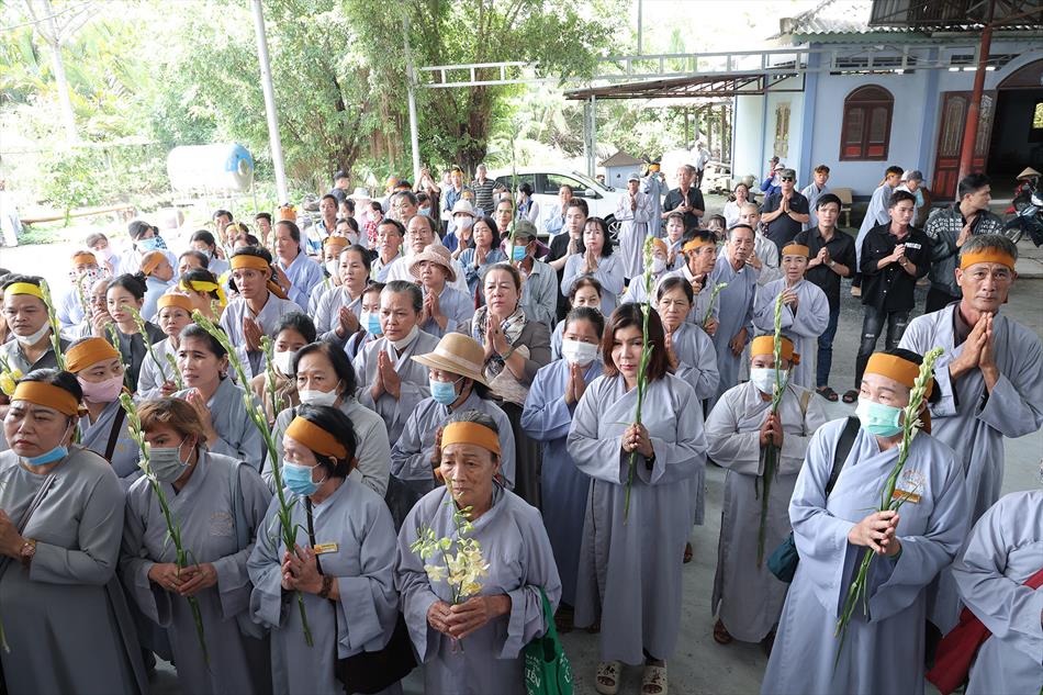 2 DI QUAN VÀ TRÀ TỲ 2 DI QUAN VÀ TRÀ TỲ