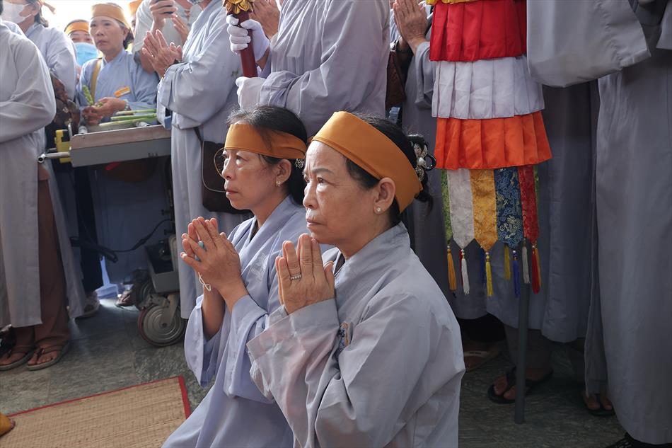2 DI QUAN VÀ TRÀ TỲ 2 DI QUAN VÀ TRÀ TỲ