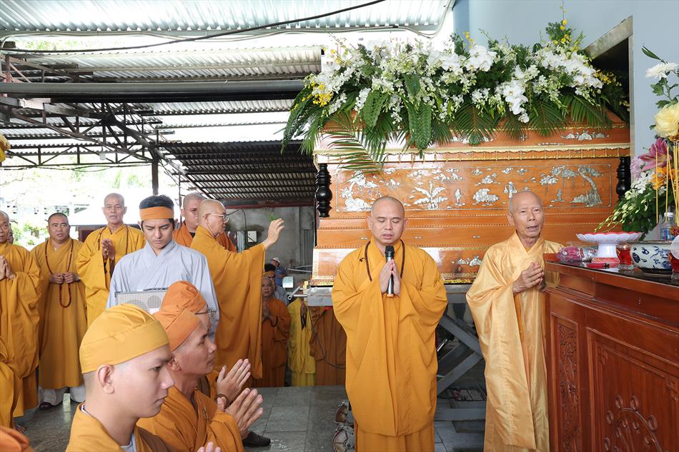 2 DI QUAN VÀ TRÀ TỲ 2 DI QUAN VÀ TRÀ TỲ