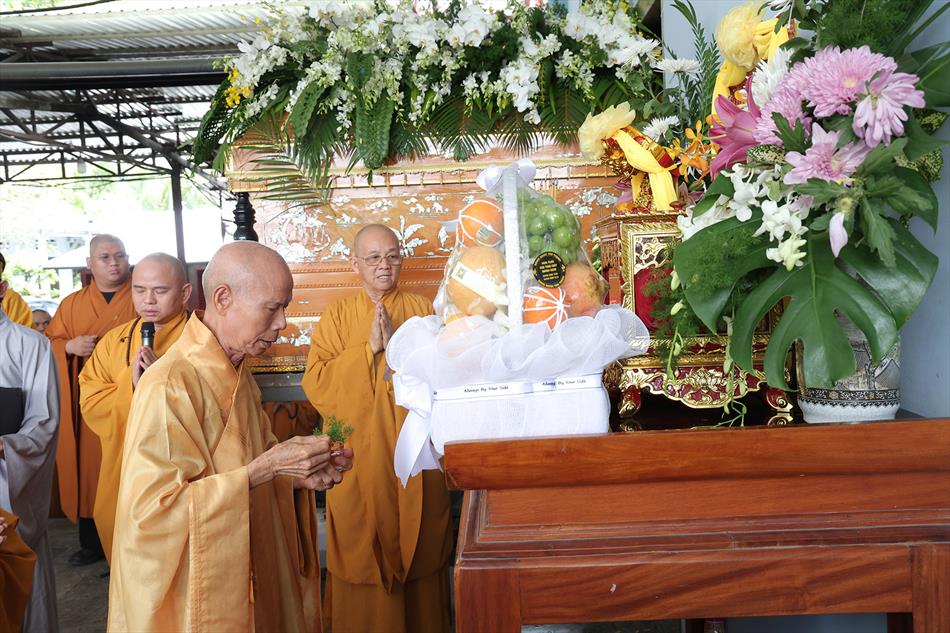 2 DI QUAN VÀ TRÀ TỲ 2 DI QUAN VÀ TRÀ TỲ