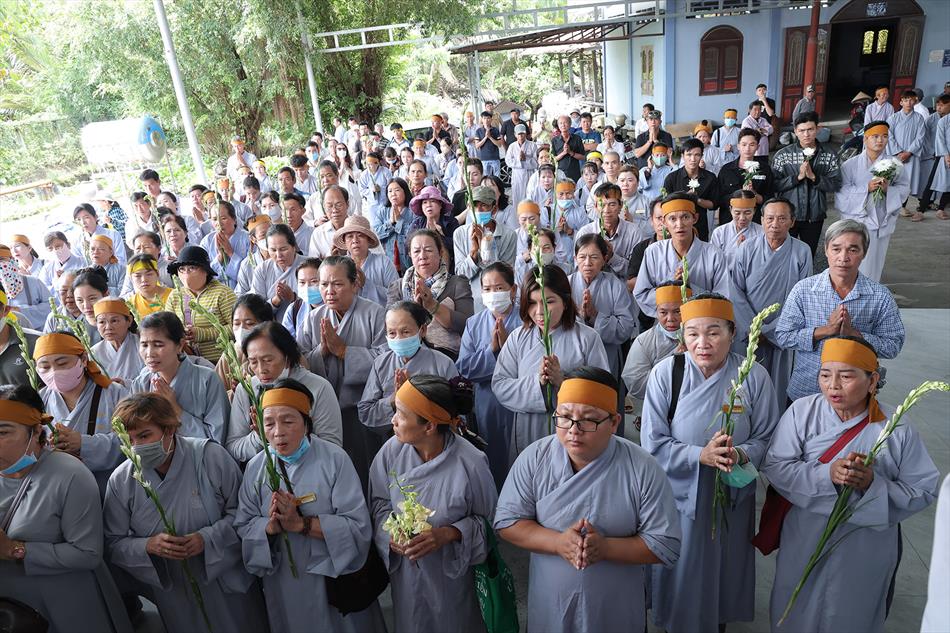 2 DI QUAN VÀ TRÀ TỲ 2 DI QUAN VÀ TRÀ TỲ