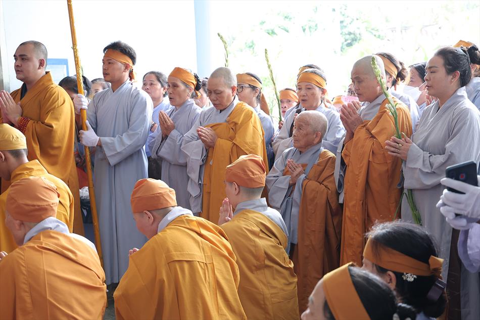 2 DI QUAN VÀ TRÀ TỲ 2 DI QUAN VÀ TRÀ TỲ