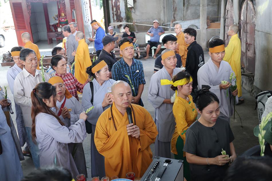 2 DI QUAN VÀ TRÀ TỲ 2 DI QUAN VÀ TRÀ TỲ