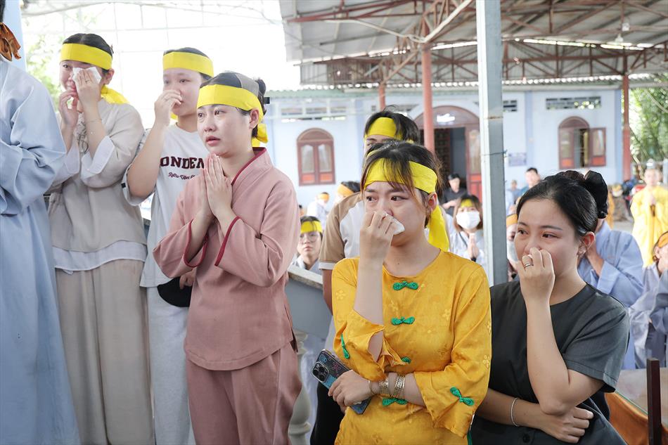 2 DI QUAN VÀ TRÀ TỲ 2 DI QUAN VÀ TRÀ TỲ