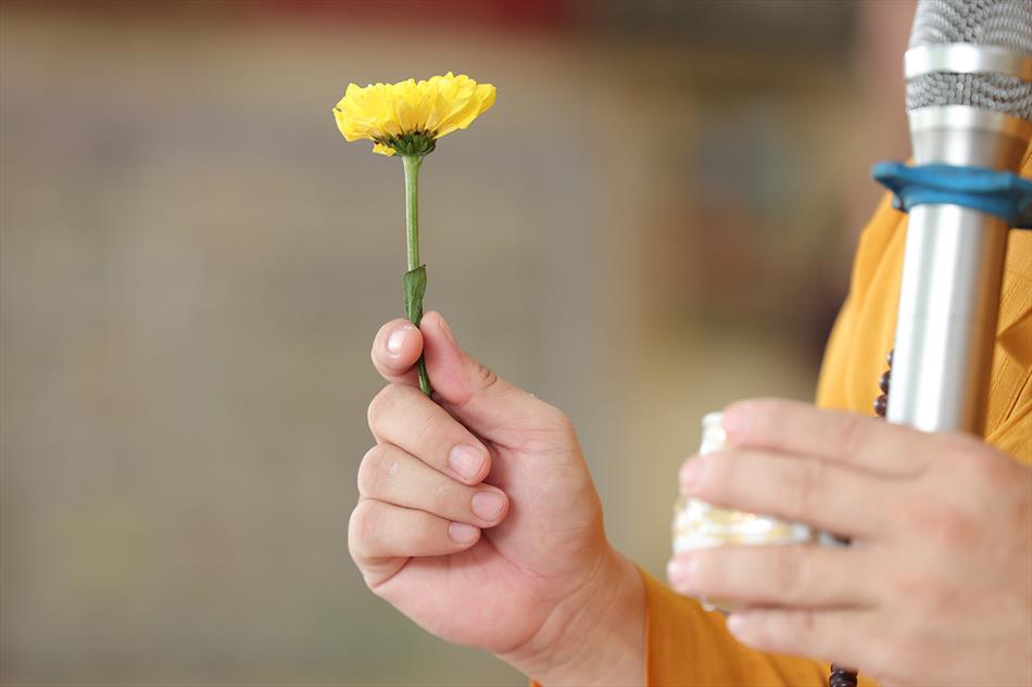 2 LỄ QUY Y TAM BẢO - PHÓNG SINH 2 LỄ QUY Y TAM BẢO - PHÓNG SINH