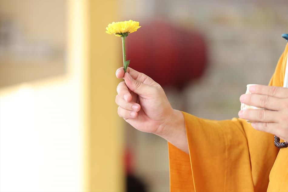2 LỄ QUY Y TAM BẢO - PHÓNG SINH 2 LỄ QUY Y TAM BẢO - PHÓNG SINH